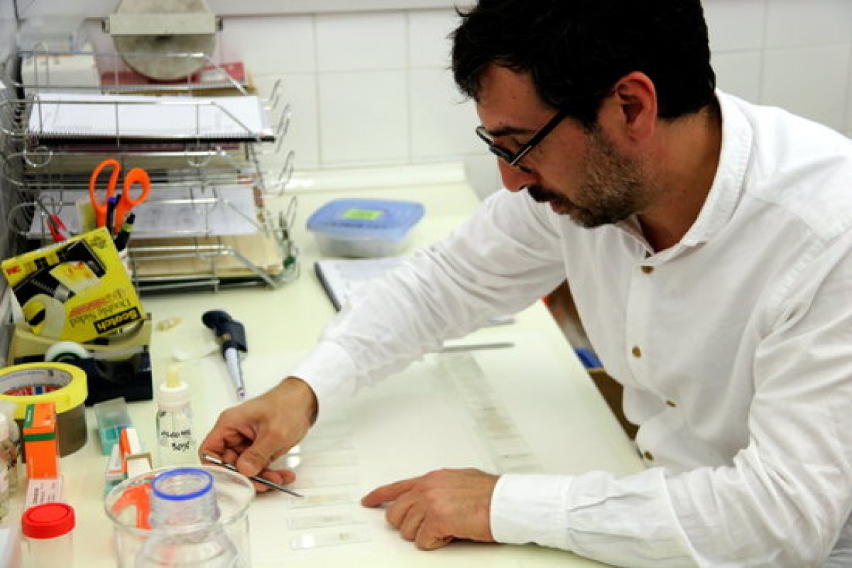 Un investigador de l'ICTA-UAB analitzant mostres de pol·len