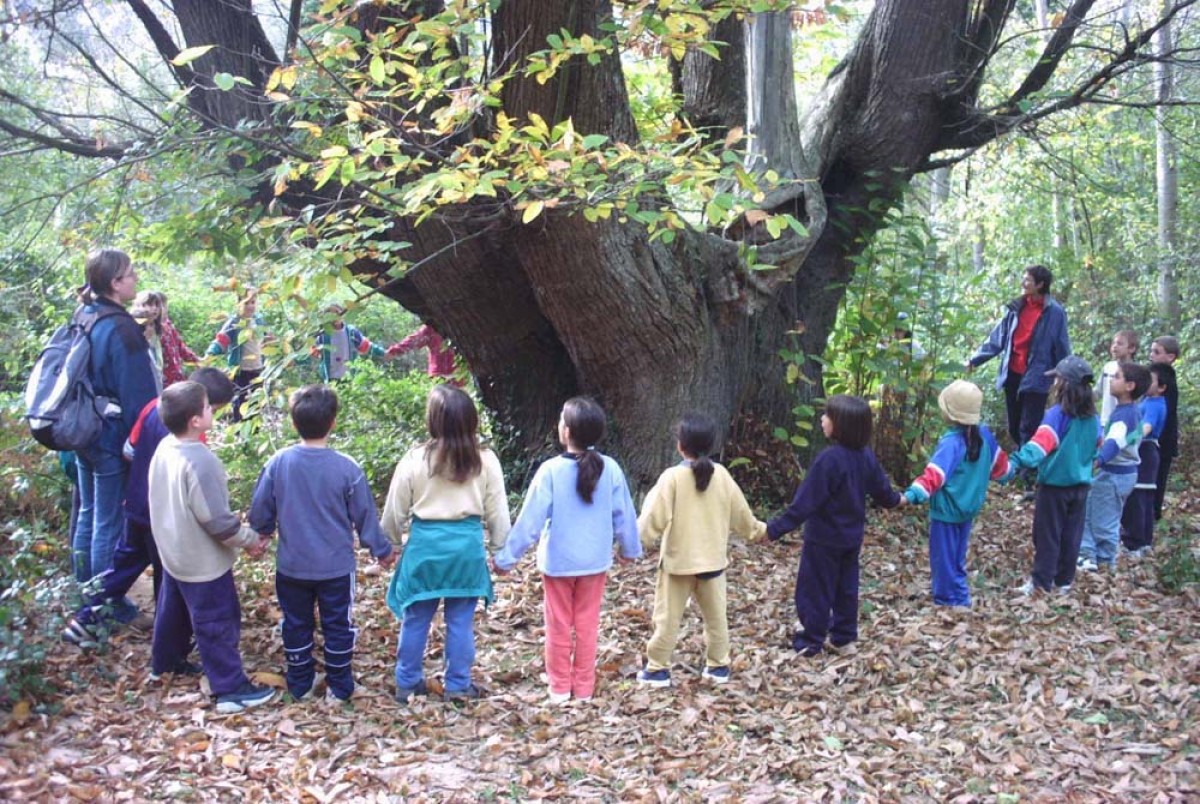 Imatge d'arxiu d'una activitat d'educació ambiental amb infants