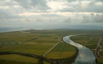 Vés a: L'Ebre, el segon riu més contaminat de l'Estat pels plaguicides tòxics 
