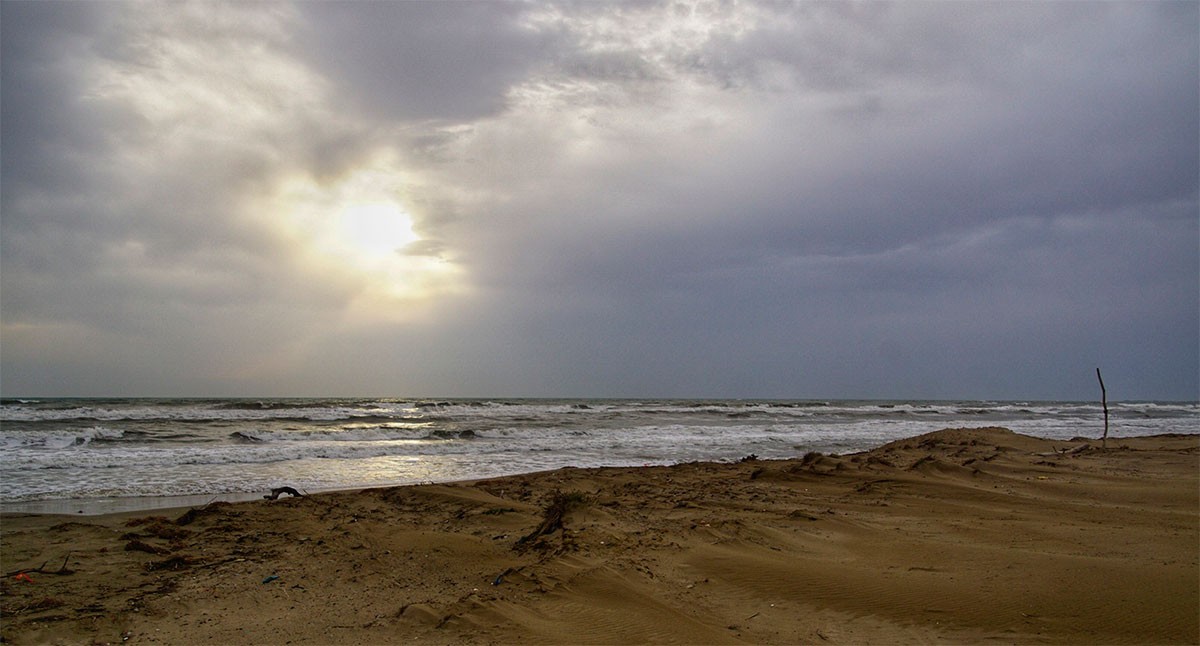 Els efectes de temporal de mar a la fràgil platja del Fangar al Delta de l'Ebre (Deltebre)