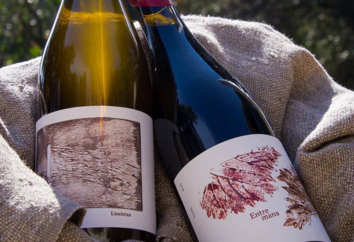 Imatge dels dos vins que, ara per ara, elabora el celler Sant Miquel d'Oló