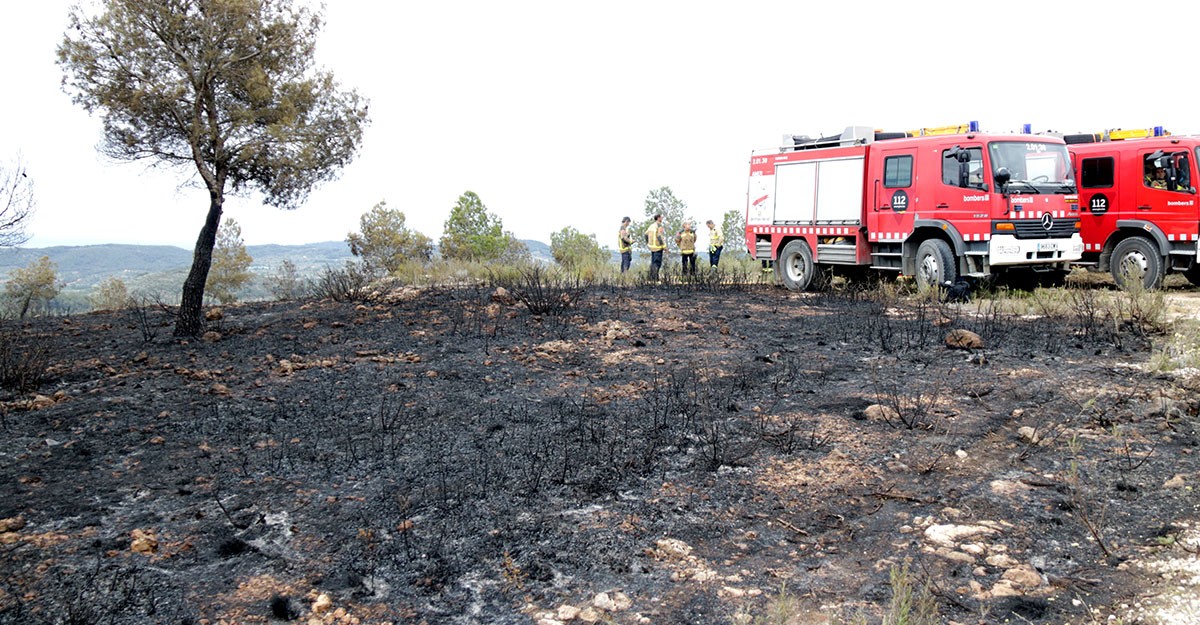 Bombers en una zona afectada per l'incendi del Perelló, este  dimarts