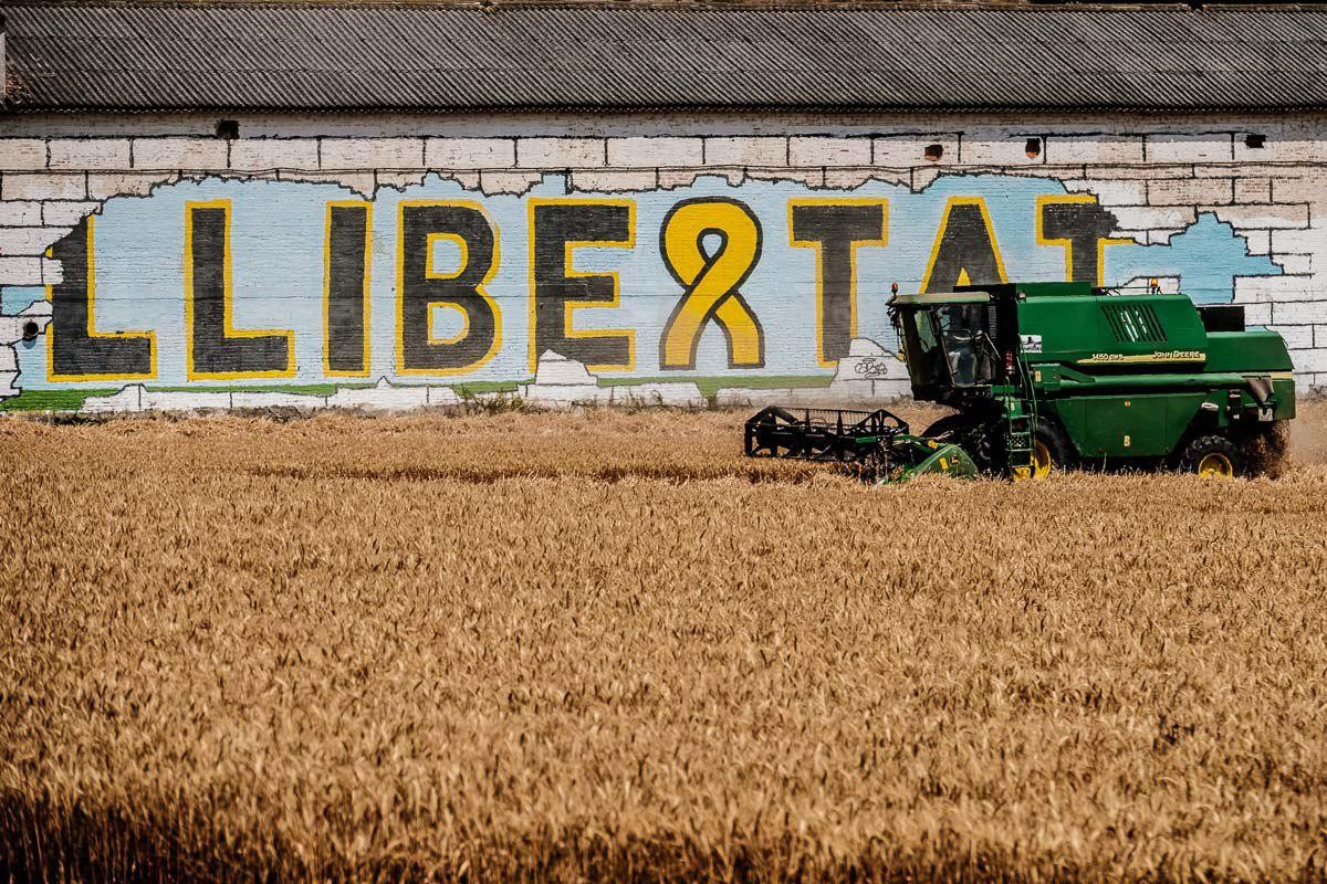 Un cartell per la llibertat dels presos en un camp de blat.