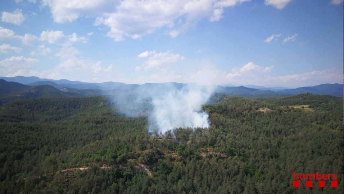 Incendi forestal a Borredà.