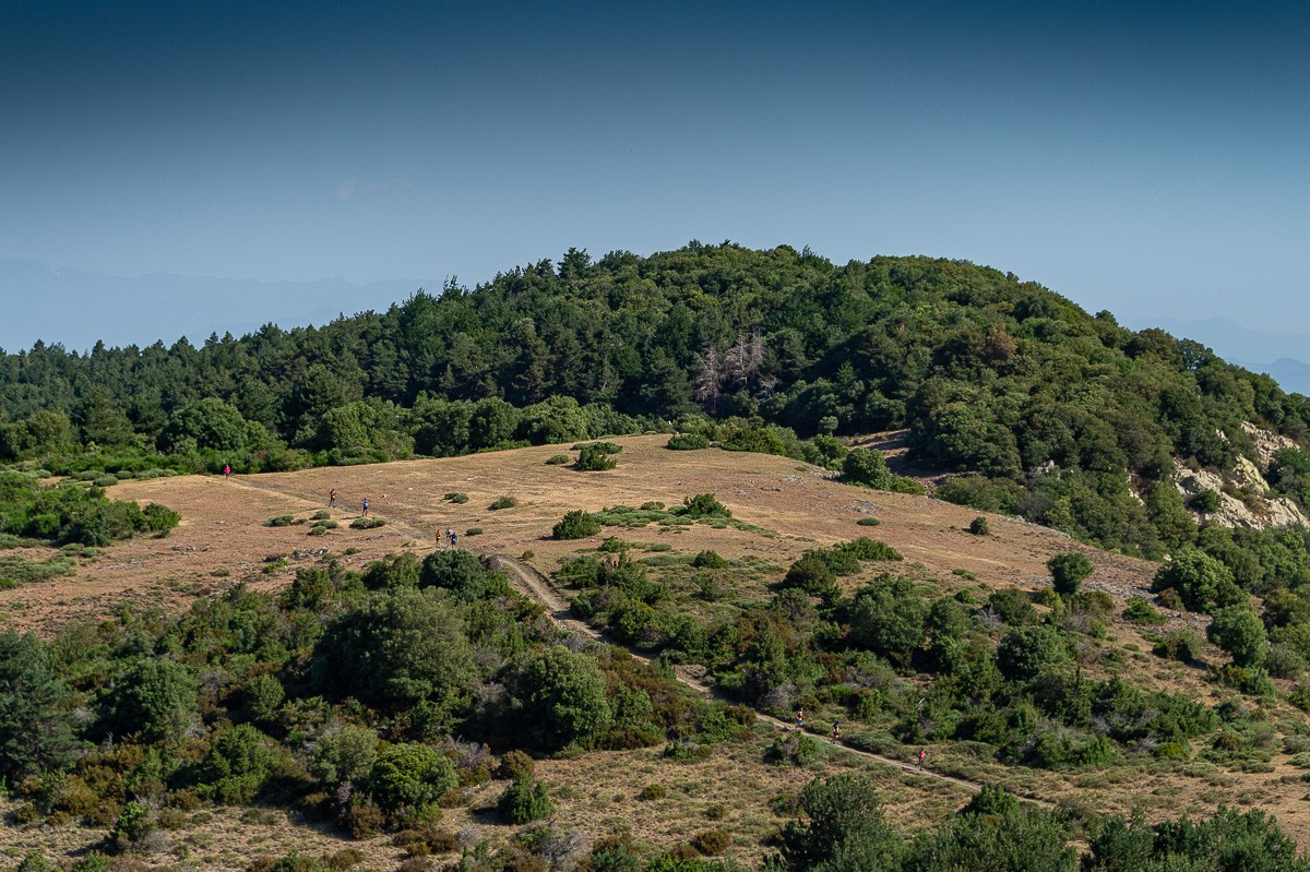Un paratge del parc natural del Montseny.