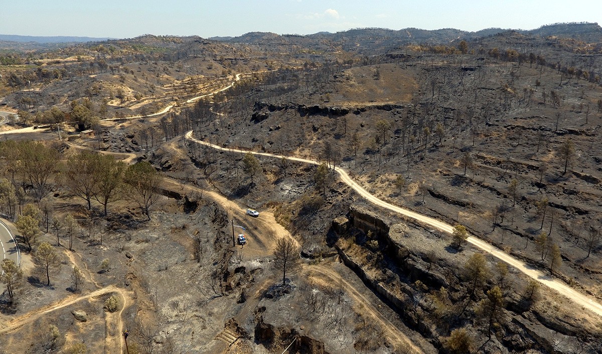 Imatge aèria captada amb dron de l'incendi de la Ribera d'Ebre a la zona situada entre la Palma d'Ebre i Flix, el 2 de juliol de 2019. (Horitzontal)