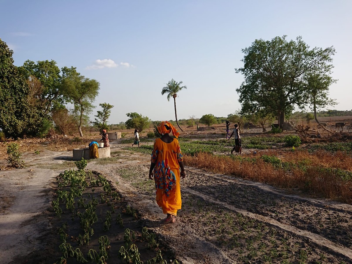 Visita a una cooperativa de dones agricultores a la Casamance (Senegal)
