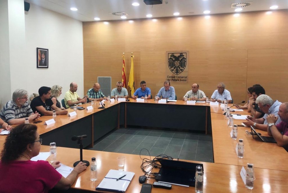 Ple del Consell Comarcal del Pallars Jussà