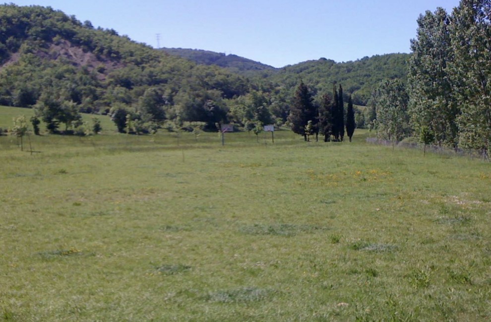 Imatge del terreny d'acampada 'El Flamisell'