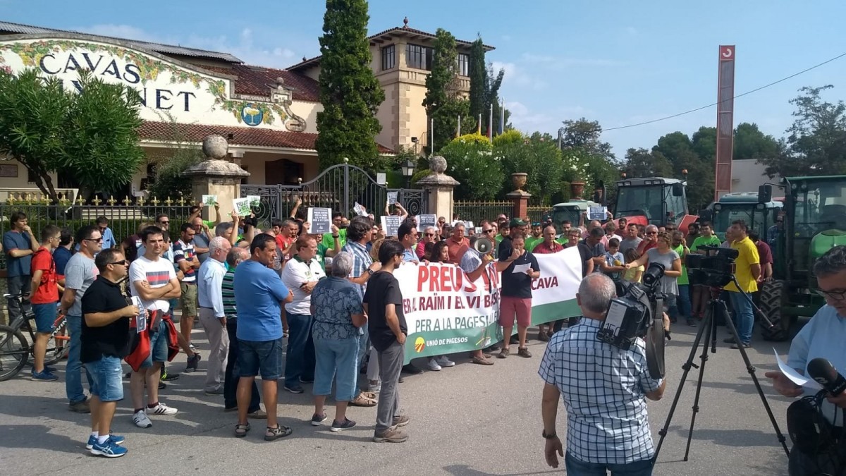 Protesta dels viticultors davant de Freixenet