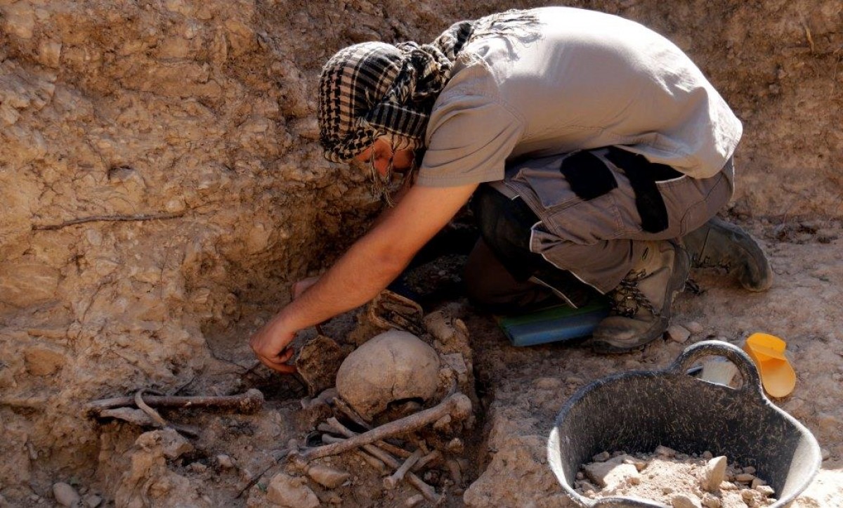 Un arqueòleg treballant a la fossa
