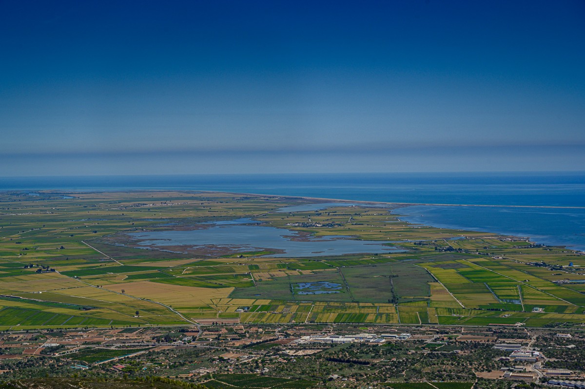 El delta de l'Ebre en època de sega de l'arròs