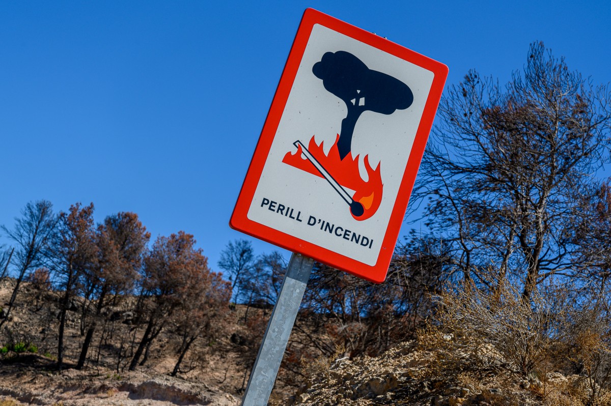 L'incendi de la Ribera d'Ebre del 2019, dos mesos després