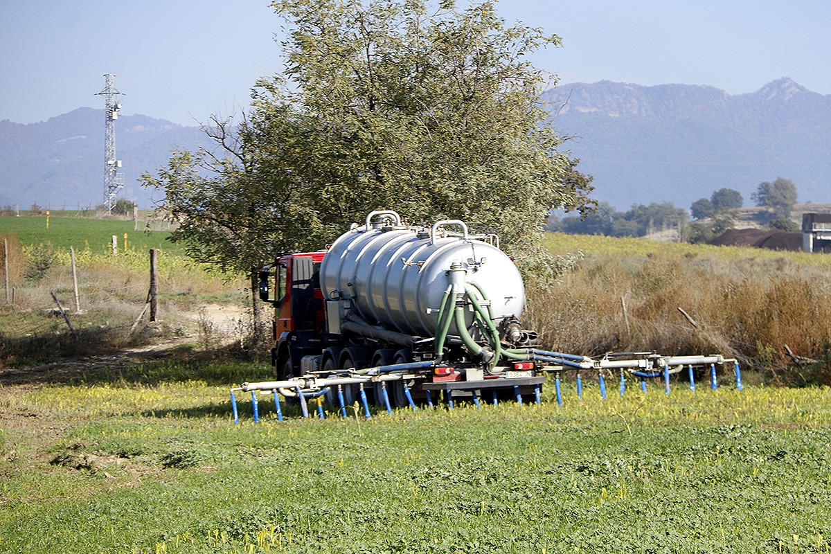 Un tractor escampant purí en un camp d'Osona de forma tradicional