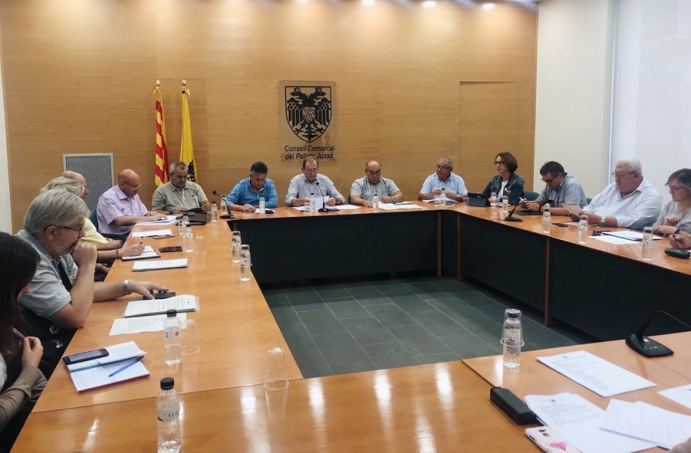 Imatge d’arxiu del ple del Consell Comarcal del Pallars Jussà