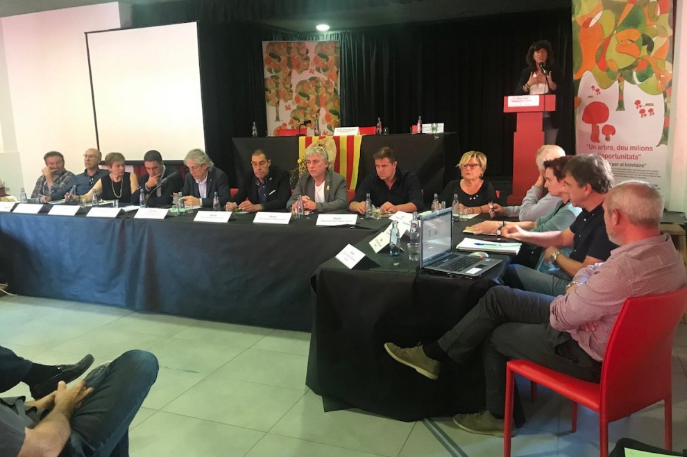 Teresa Jordà durant la subhasta d’aquest dijous