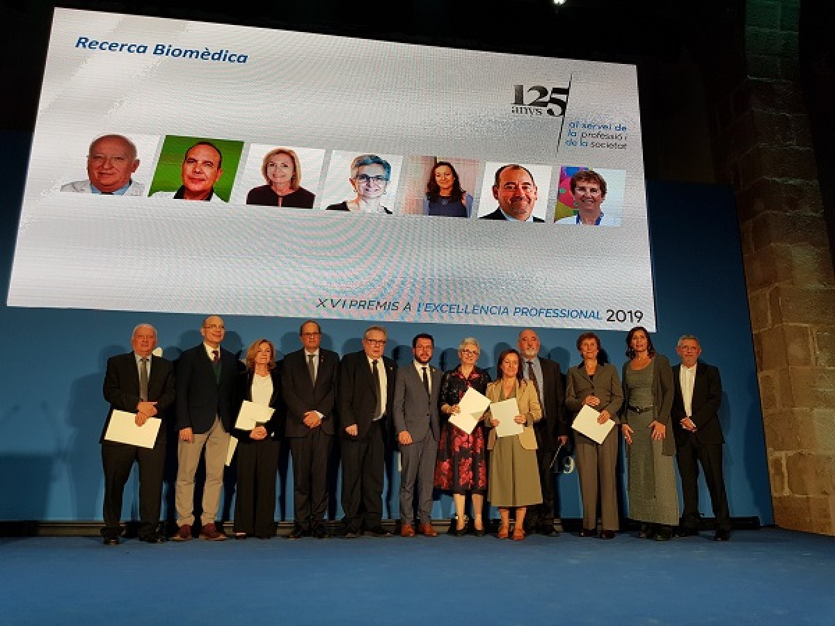 El Dr. De la Sierra (quart per la dreta) amb la resta de premiats de la seva  categoria.