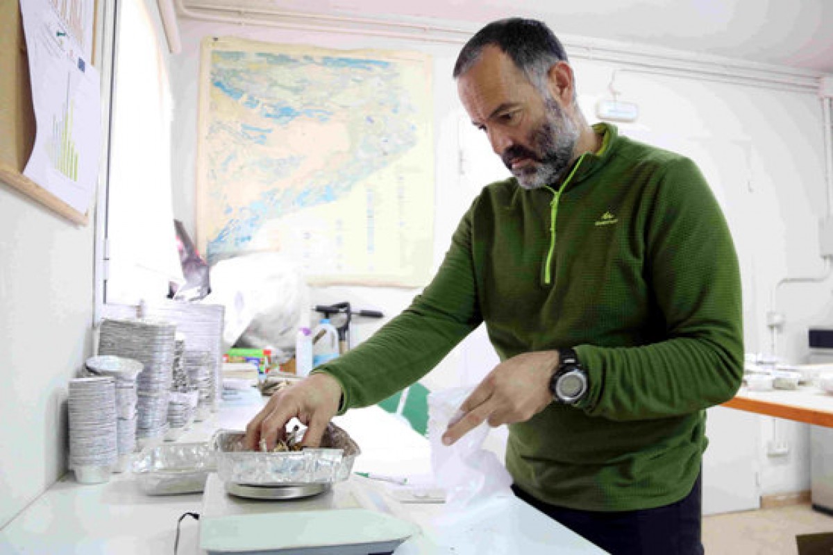 Martínez, al laboratori del Centre de Ciència i Tecnologia Forestal de Catalunya