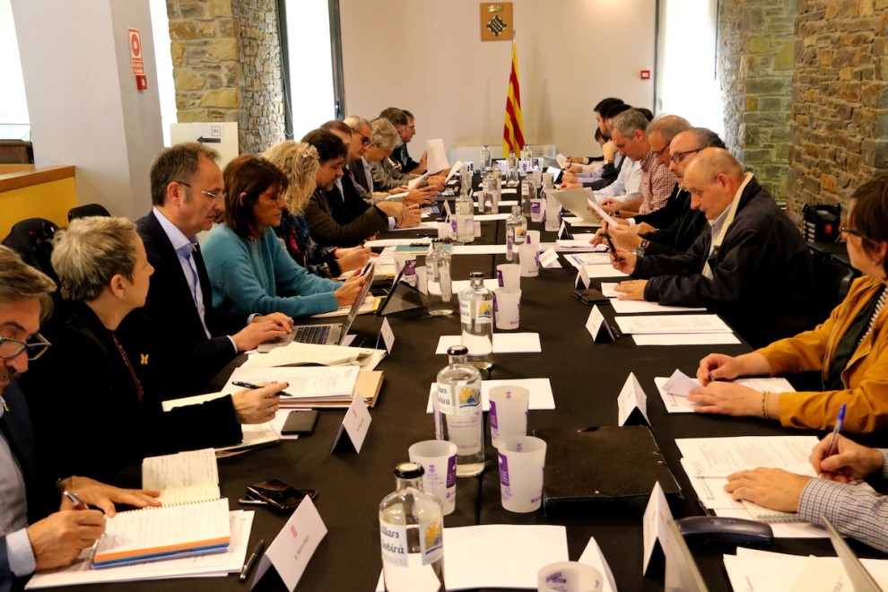 Pla general de la Constitució per a l'estratègia de Dinamització Territorial al Pallars Sobirà