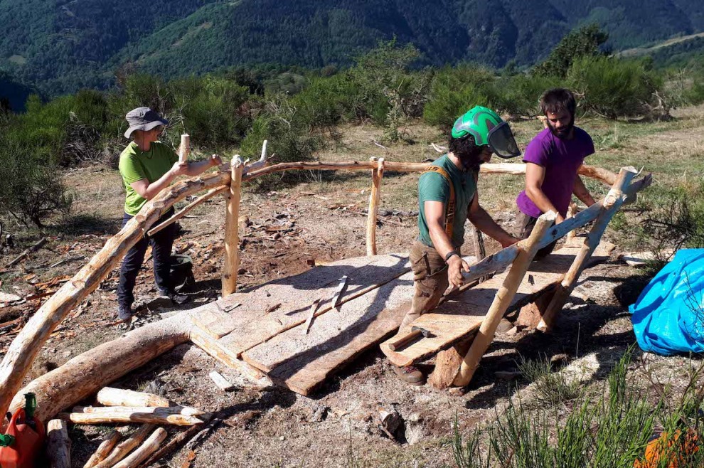 Voluntaris del projecte Boscos de Muntanya treballant al bosc l'estiu del 2019
