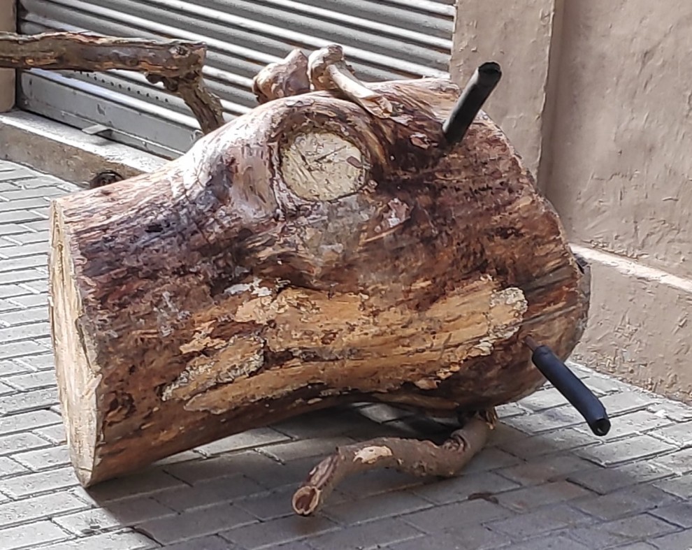 Imatge d'una de les tronques atacades