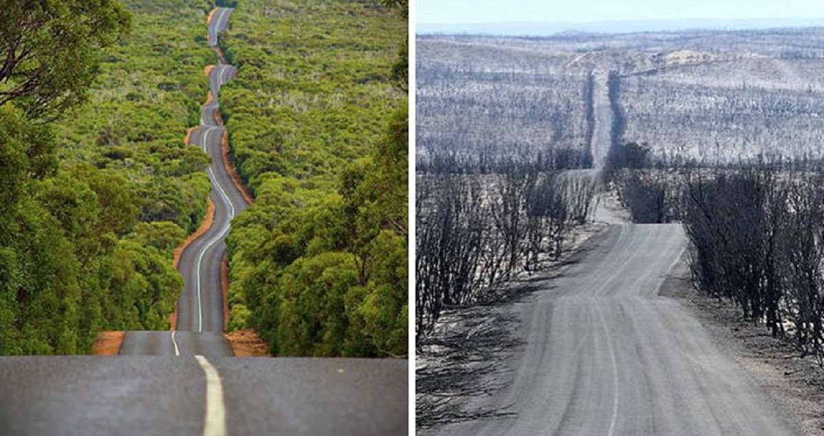 Abans i després d'una carretera a Kangaroo Island.