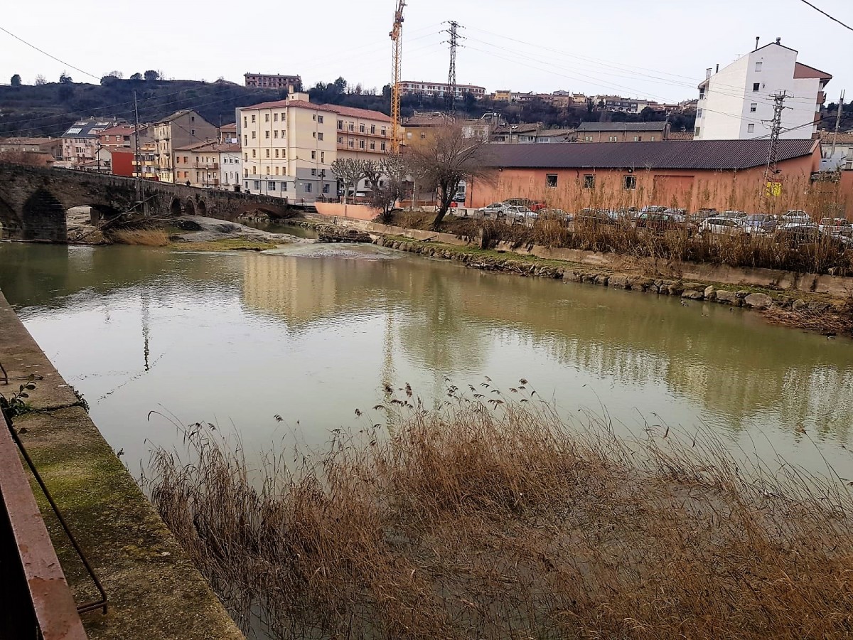 El riu Llobregat al seu pas per Gironella, aquest dilluns al matí.