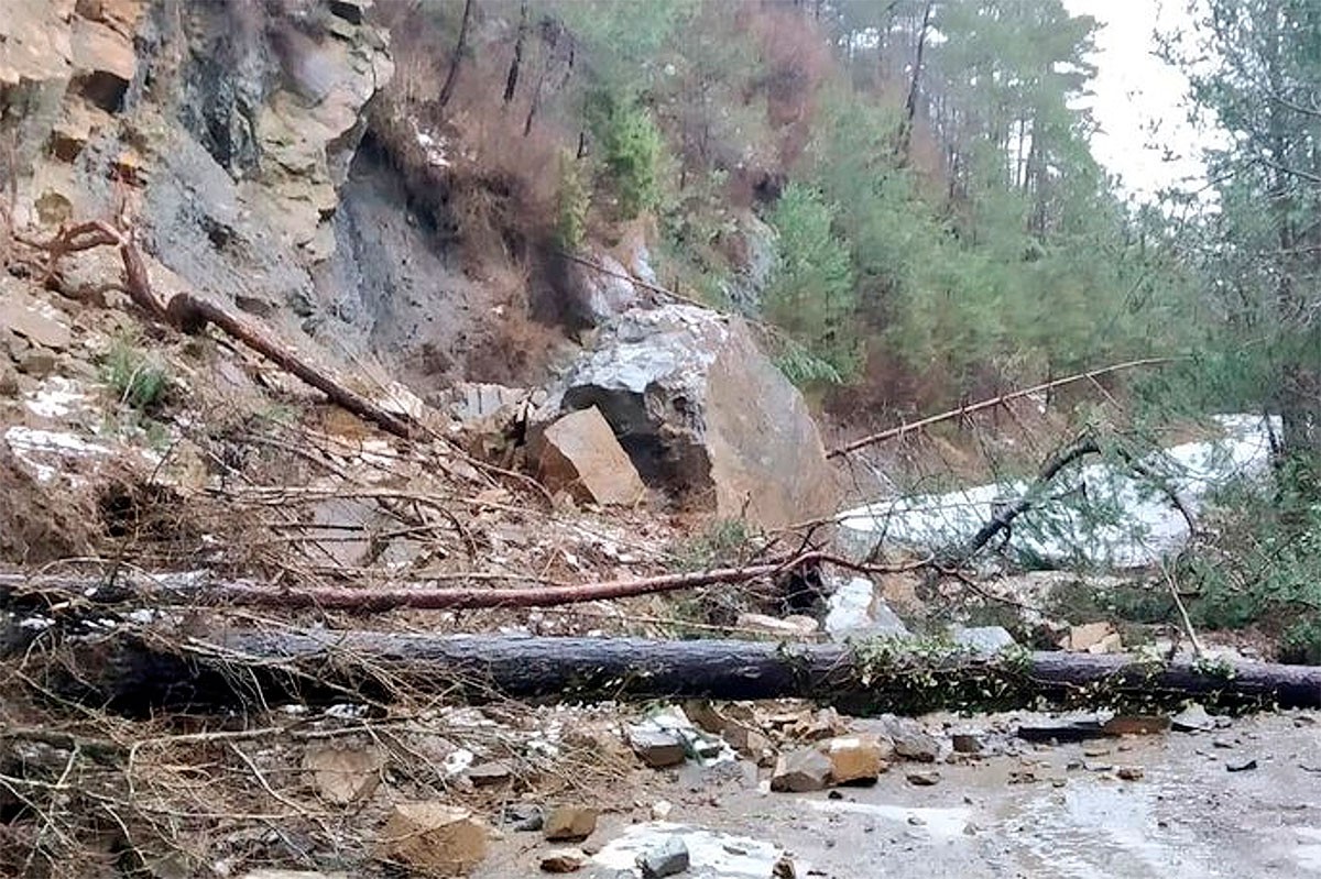 Un arbre caigut en una carretera del Ripollès a causa del temporal Gloria