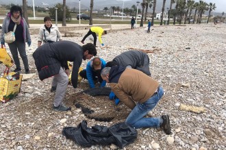 Vés a: 400 voluntaris netegen les deixalles del temporal a les platges de les Cases d'Alcanar i l'Ampolla