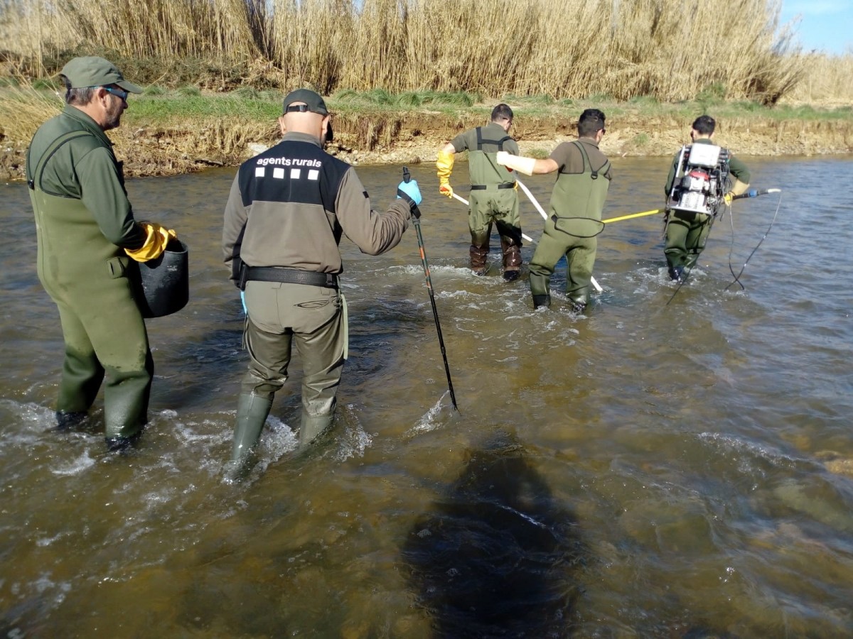 Tècnics treballant al riu Besòs per analitzar-ne l'estat