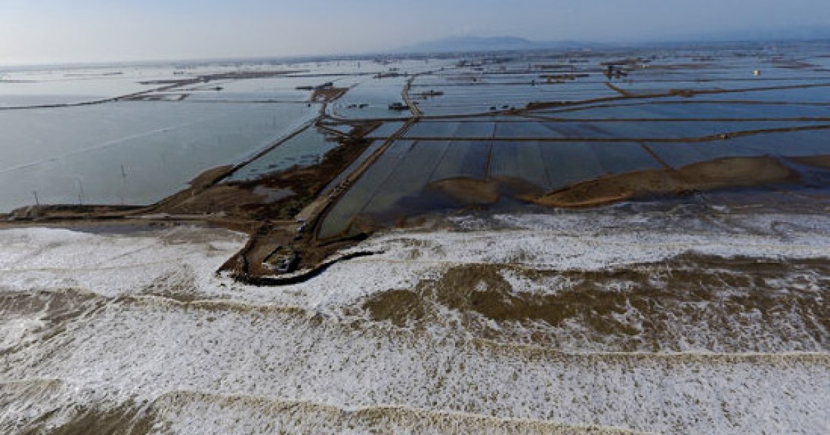 L'Estat destina dos milions d'euros a reparar de forma urgent els estralls del temporal al delta de l'Ebre