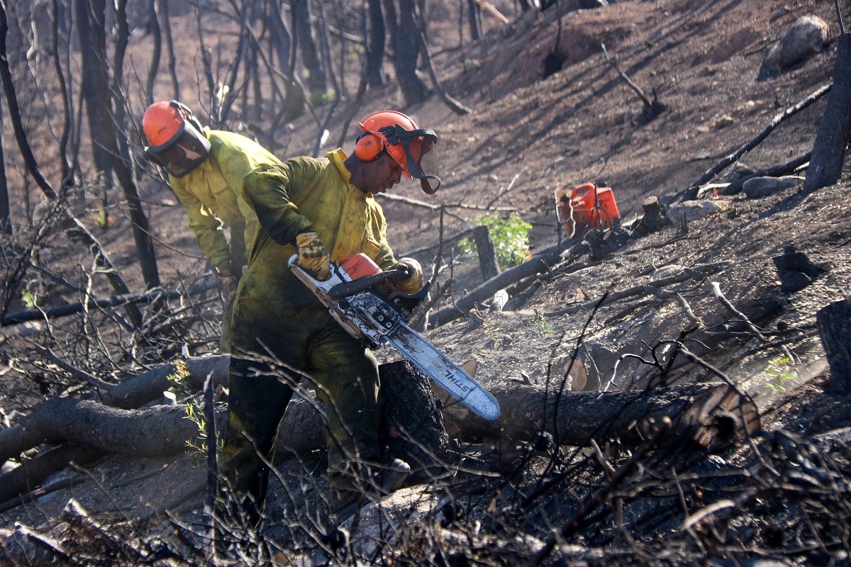 Dos operaris treballant en la construcció de feixines en un incendi forestal