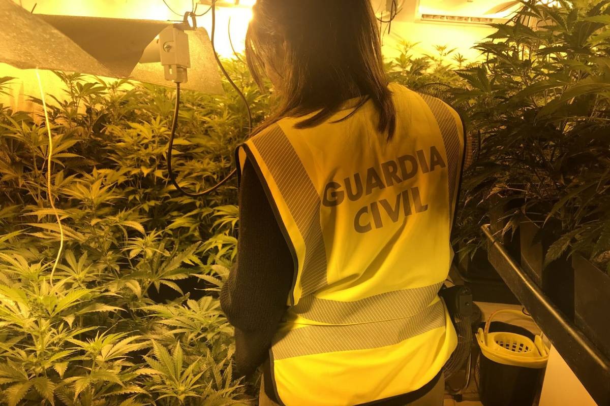 Una agent de la Guàrdia Civil en un operatiu contra una plantació de marihuana.