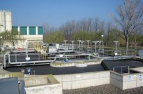 Vés a: L'ACA i el Consorci del Besòs Tordera aprecien una millora de la qualitat de l'aigua del riu