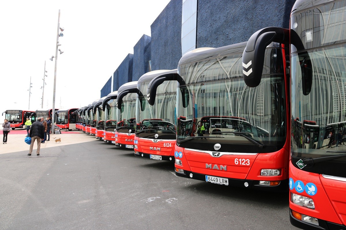 Una imatge dels nous autobusos