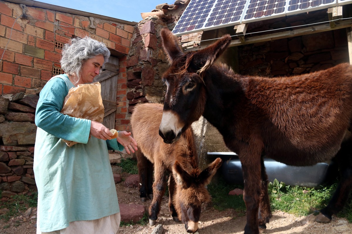 Laia Clot d''Arremangades' dona de menjar a dos dels seus burros