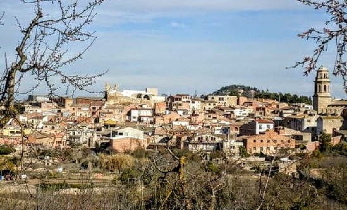 El municipi de l’Albi