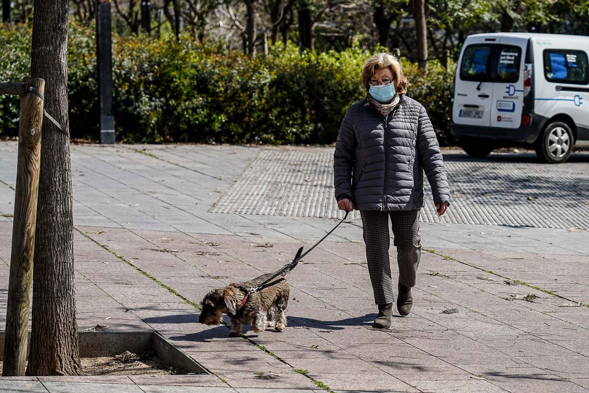 Una dona passejant el seu gos en una imatge d'arxiu