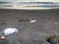 Vés a: Les taques negres del litoral català: les platges assenyalades per contaminació o mala gestió