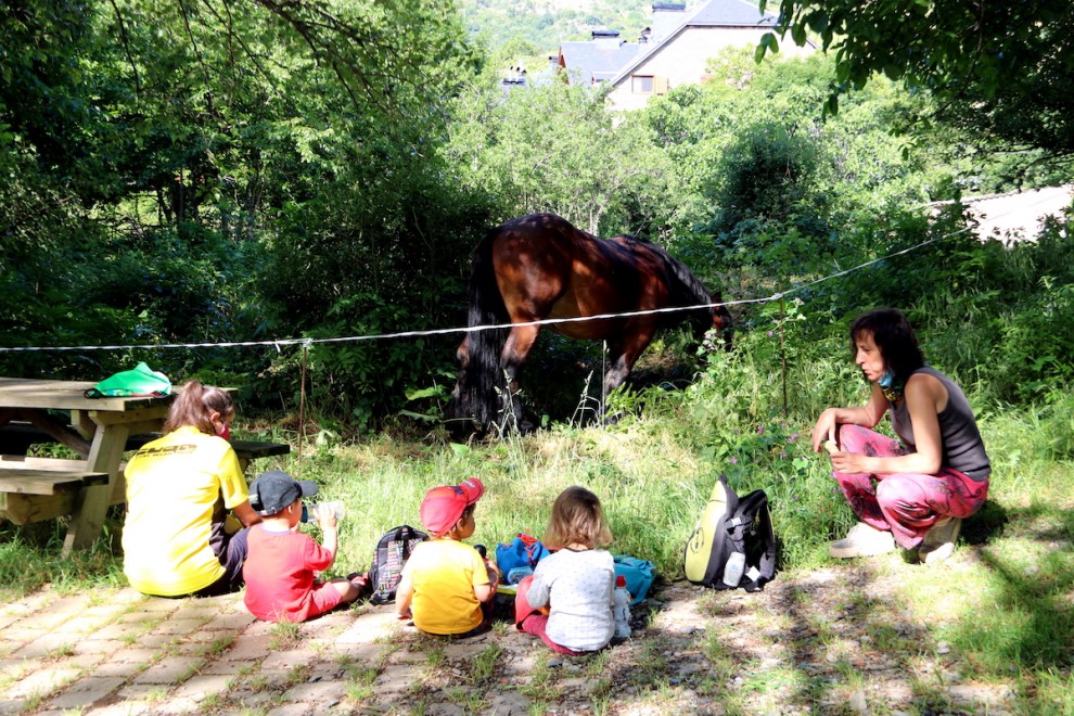 Els infants de Rialp observant un cavall el primer dia del retorn a classe