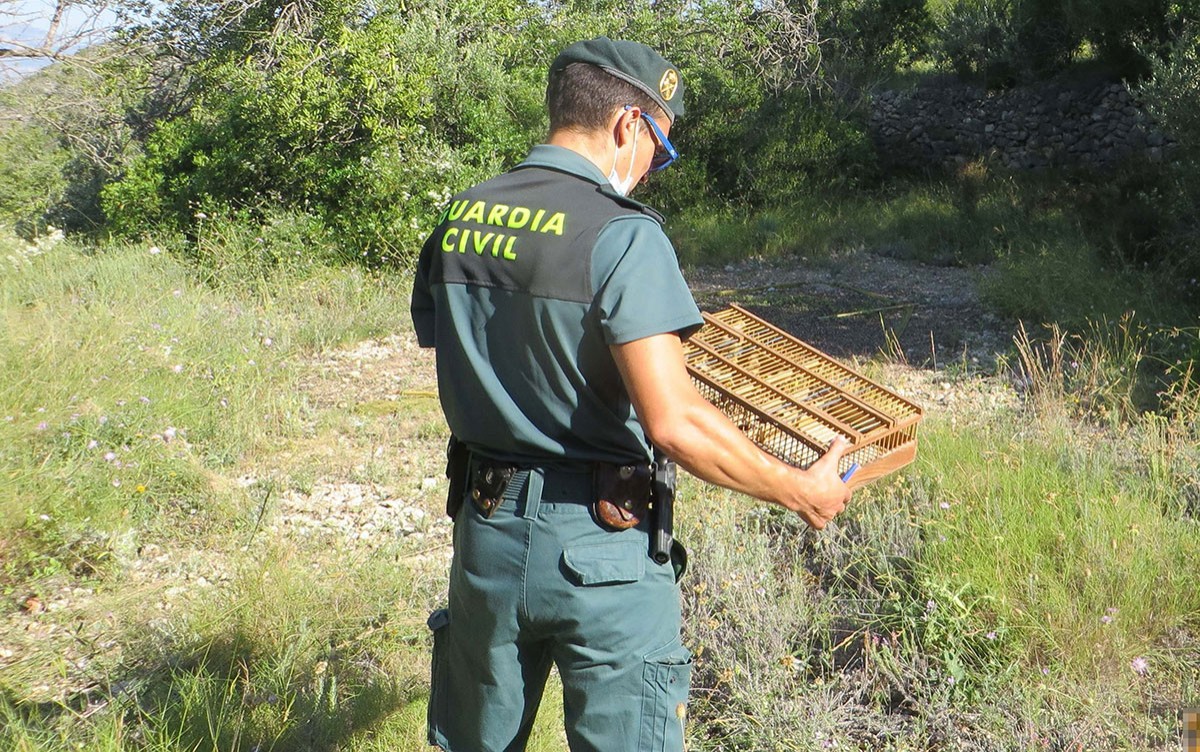 Un agent de la Guàrdia Civil amb una de les gàbies d'aus capturades amb un mètode il·legal.