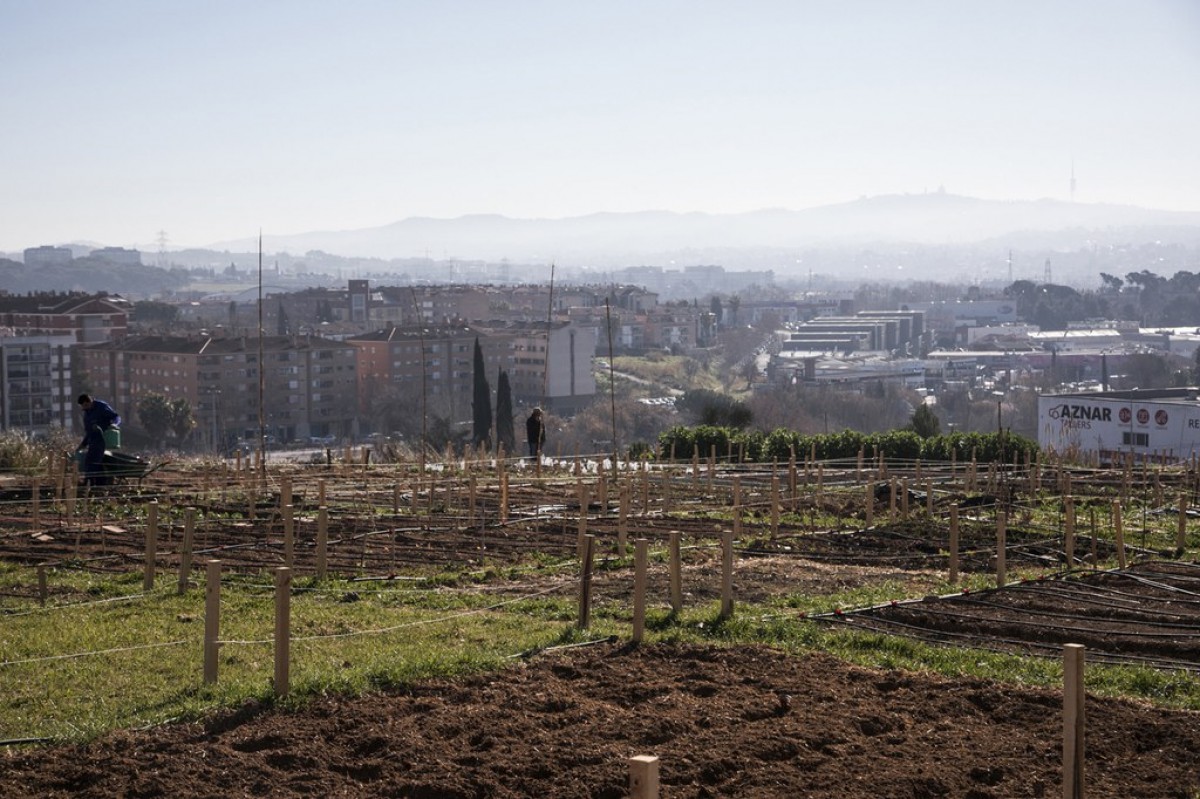 Posar ombres i una zona de picnic als horts de Cova Solera, una de les propostes dels Pressupostos Participatius