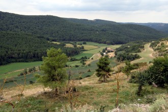 Vés a: Investiguen en boscos del Solsonès el tipus de gestió forestal més resistent 