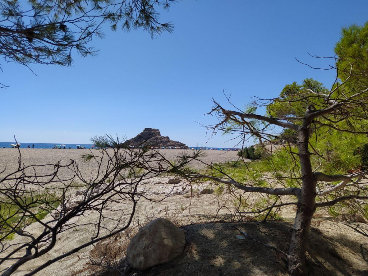 La platja del Torn és un espai naturista al municipi de Vandellòs-l'Hospitalet de l'Infant