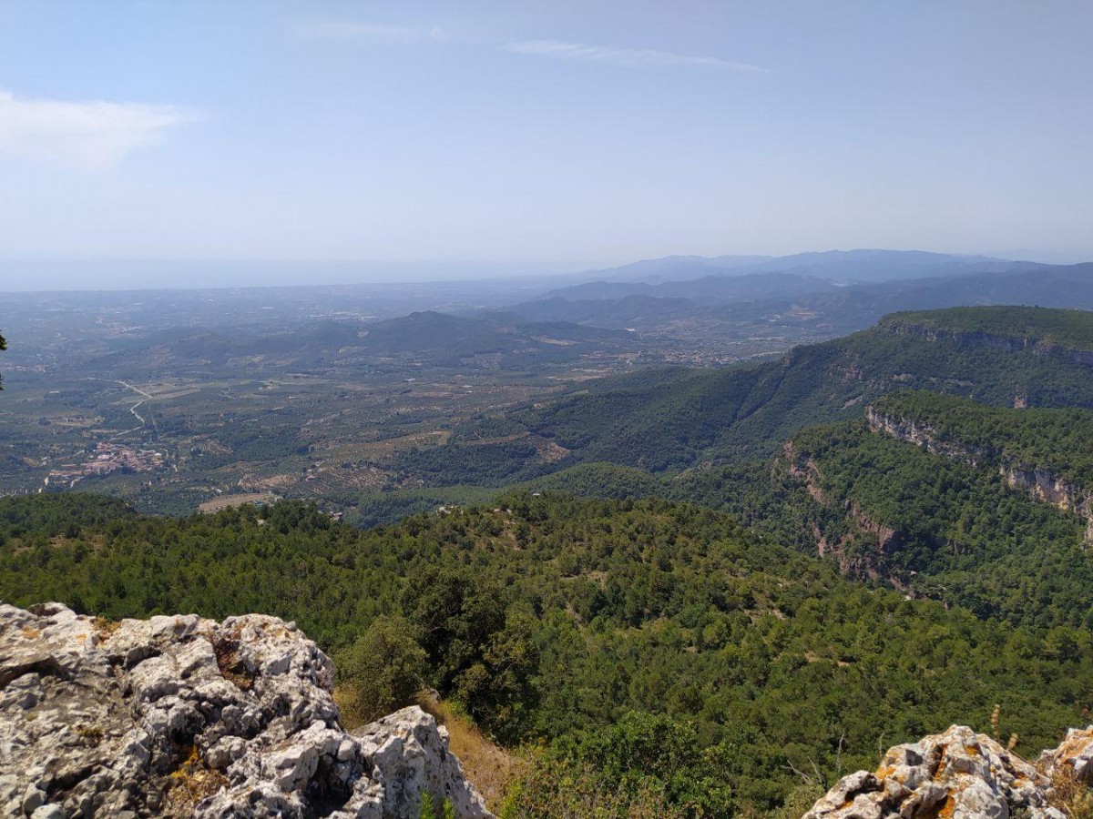 Les vistes des de la Mussara del Camp de Tarragona.
