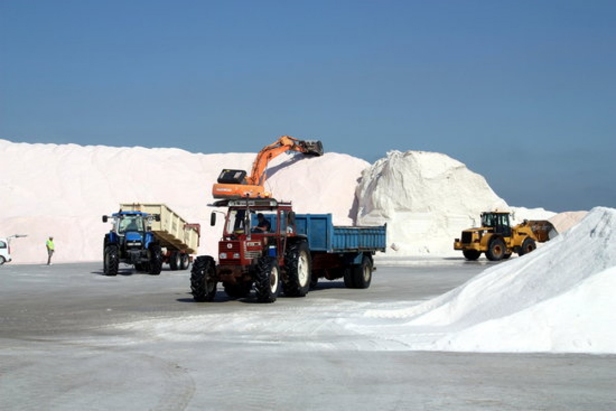 Pla general de les màquines i els tractors treballant en la recollida de la sal a les salines de la Trinitat