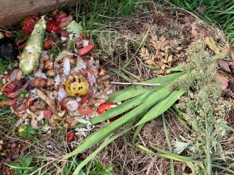Vés a: Sant Joan les Fonts endegarà un projecte de compostatge comunitari