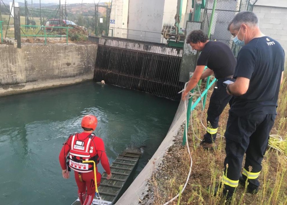 Un bomber introduint-se a l’aigua per rescatar l’animal
