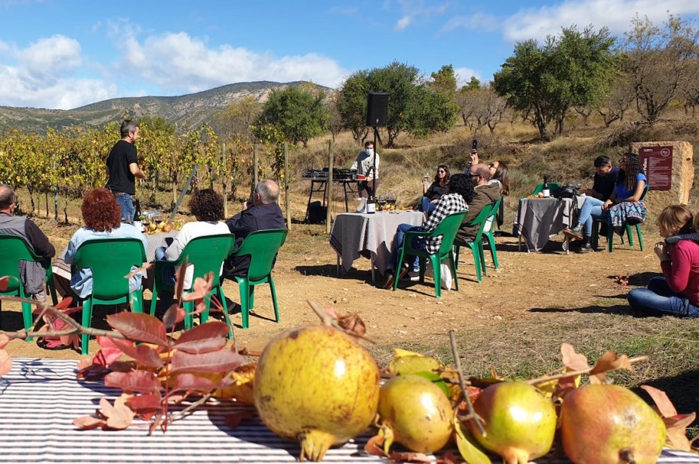 Activitat del festival Cordevi a les vinyes de Terrer de Pallars