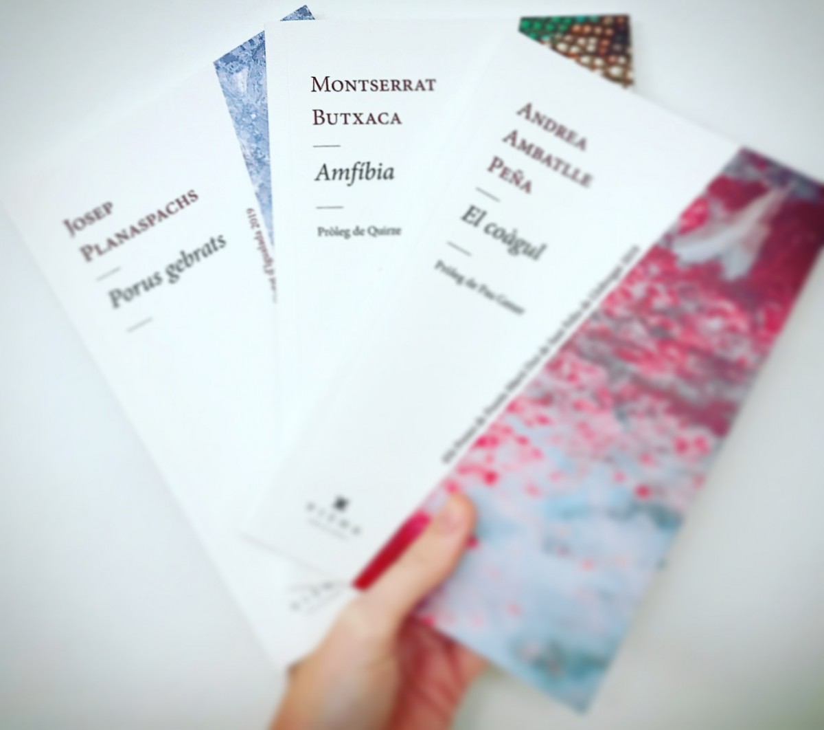 'Amfíbia' és el nou llibre de poesia de la puig-reigenca Montserrat Butxaca.